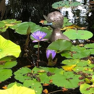 Meet your Posher, Posh